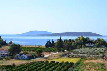 Turista apartmanok Alexandros Apartments