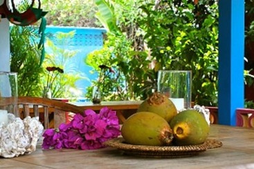 آپارتمان‌های توریست‌ها Caribbean Flower Apartments