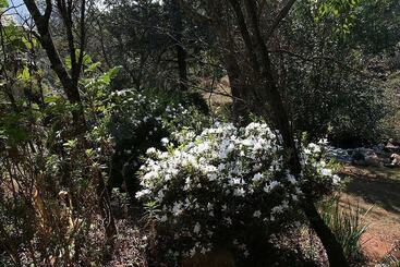 ベッドアンドブレックファースト Sabi Star Chalets