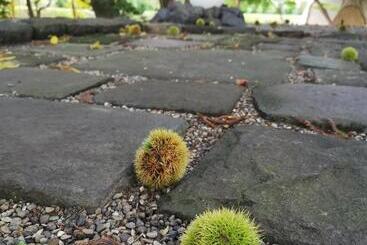 דירות לתיירים La Cachette