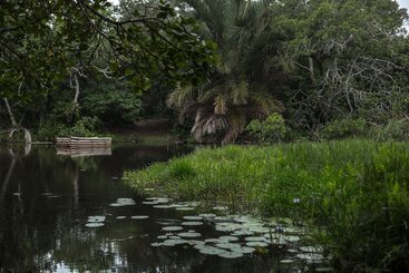 Пансион Kosi Forest Lodge