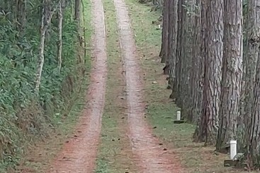 Hotel Pousada Candeias Ltda