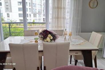 Bed & Breakfast Hostel Type , Females Only   Garden View