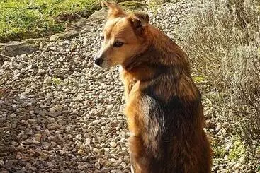 Aamiaismajoitus (B&B) Sometimes Zimmer Gehaichnishof 7born