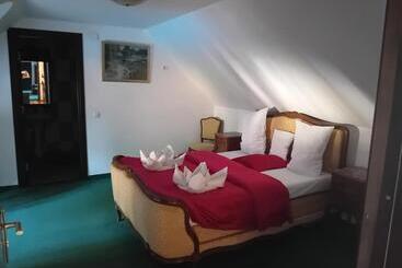 펜션 Hanul Pescarilor Crisan