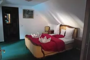 ペンション Hanul Pescarilor Crisan