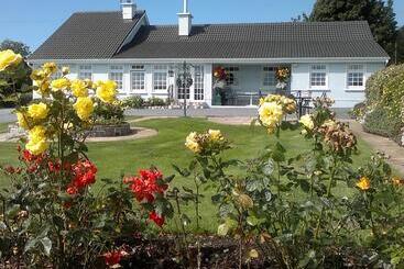 Bed and Breakfast Villa Pio Accommodation