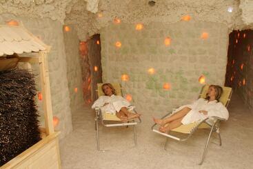 호텔 Ensana Vila Trajan