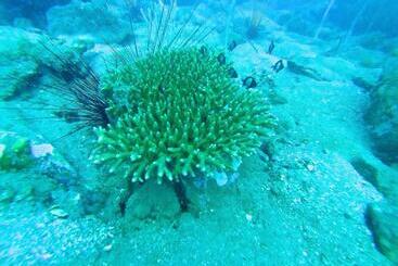 Palm Beach Bungalow Resort