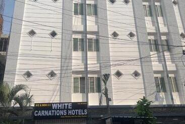 Szálloda White Carnations