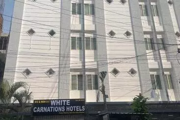 Hotel White Carnations