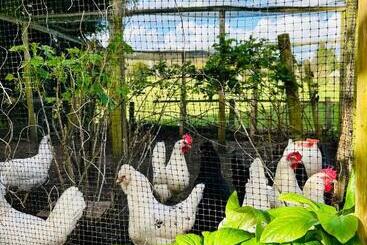 Hospedaria The Stagg Inn & Classic Car Experience