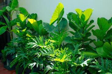 호텔 Nha Trong Pho Moon House