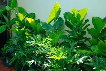 هتل Nha Trong Pho   Moon House