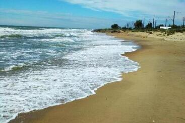 هاستل затока 501