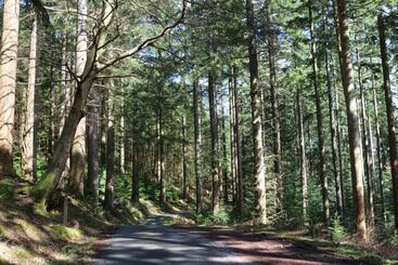 Bod Gwynedd Bed And Breakfast