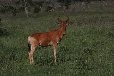 酒店 Aestus Villas Resort