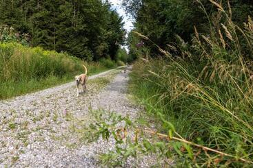 Hotel Gästehaus Guggenberger