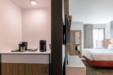 Hotel Springhill Suites By Marriott Columbia