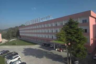 Palace Hotel & Spa Termas Do Bicanho