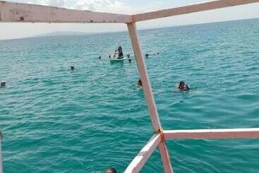 Pension Dar Haja Zekia