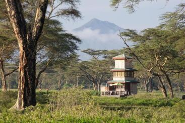 The Watch Tower 360 Bed View Shower Understars