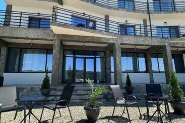 Pensiunea Casa Viselor