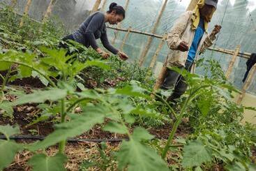 Finca Sumak Kawsay Ncc