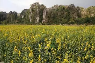 Hotel A Moment Of Love...by Red Z, Baan Mung