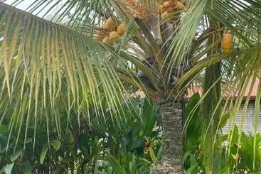 Silent Garden Ayurveda Health Resort