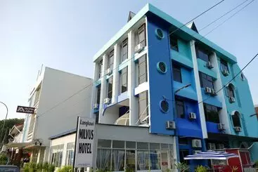 Hotel Milvus