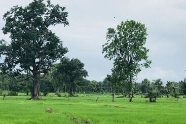 Hotel Sunshine Resort & Spa Sigiriya