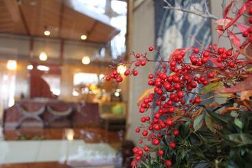 ריוקאן Hanaichi