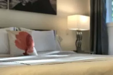 ホテル The Francis Boutique Inn