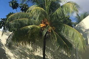 Amazonas Green Hostel