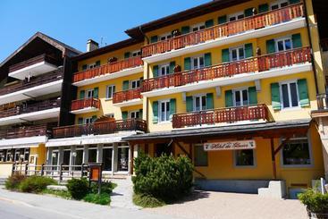 Hotel Hôtel Du Glacier