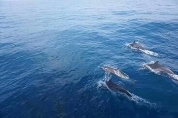 호텔 Gg Lodge Mirissa