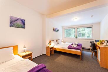 Hotel &wellness Knížecí Rybník