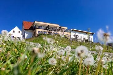 Bed and Breakfast Weingut Und Gästezimmer Perner