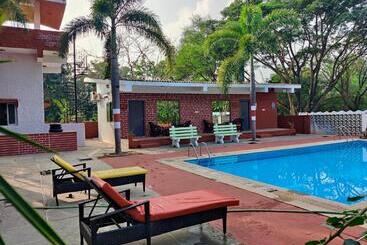 Button Eyes Resort   Pet Friendly