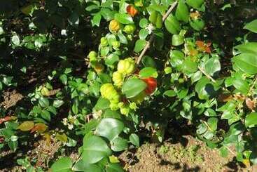 Bed & Breakfast Coral House