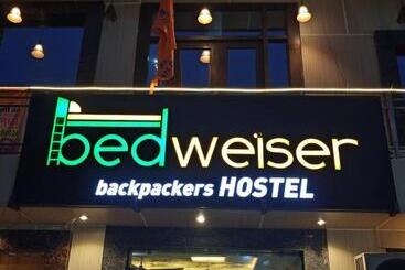 Bedweiser Backpackers Hostel