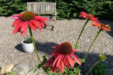 Willows Bed & Breakfast