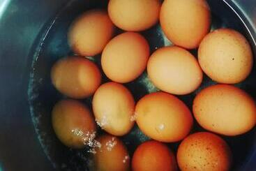 Bed and Breakfast Pension Apartments Klotznerhof