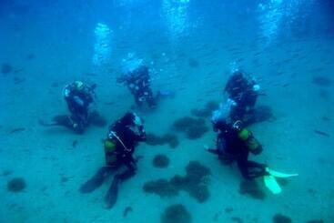 ホテル Palace Vrkljan