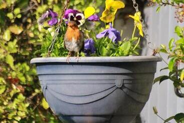 هتل Grey Gables Farmhouse B&b