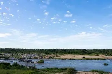 Mjejane Bush Camp By Dream Resorts