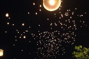 Отель Papick Lodge Hostel