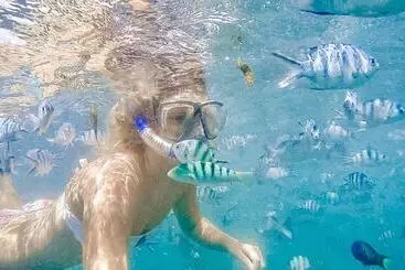 هتل Travellers Inn Resort Malindi