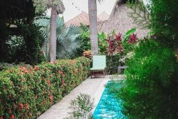 هاستل Primaluna Palomino